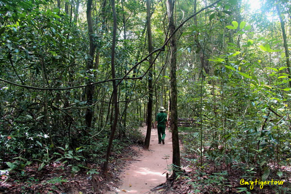 Short walk through Cu Chi forest 